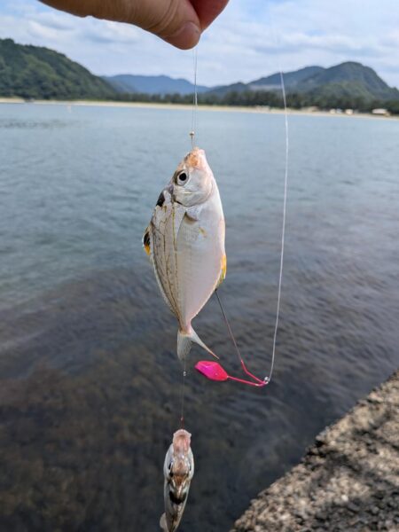 エサは鮮度が命